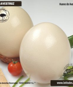 Huevo de Avestruz Refrigerado