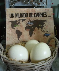 Alternative view of Huevo de Avestruz Refrigerado