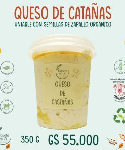 Queso de Castañas de Cajú y semillas de zapallo * Fresco