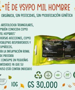 Té Ysypo Mil Hombre (Aritolachia triangularis)