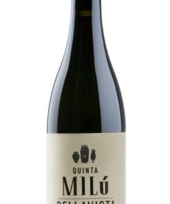 Quinta Milú Bellavista Anfora